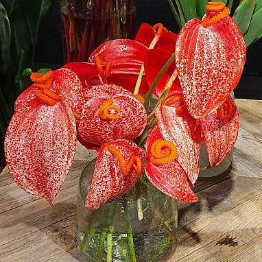 Flamigoblumen