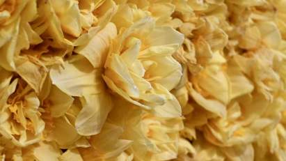 NewInZurich - 5. April 2023